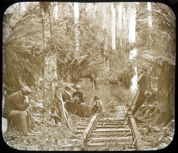 A tramway for the moving of cut logs
